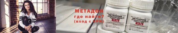прущие грибы Богданович