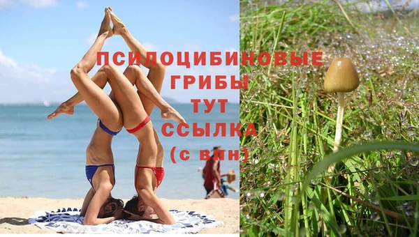 кокаин VHQ Белокуриха