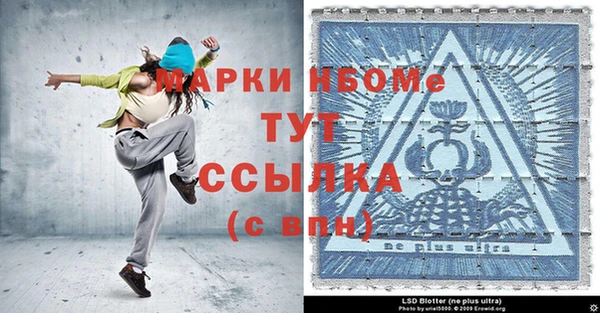 прущие грибы Богданович